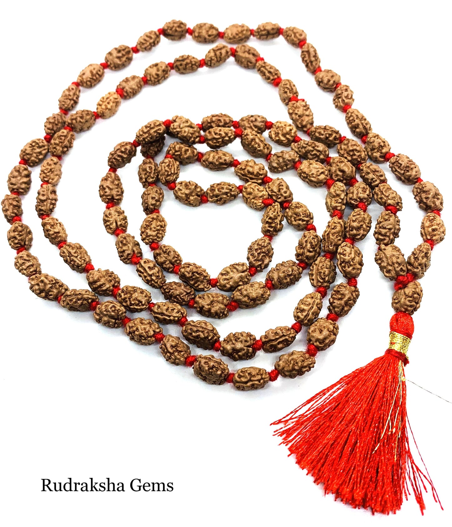 2 Mukhi Rudraksha Mala, 108+1 Genuine Rudraksha beads, Long Tassel Mala, Beautiful Mala, Natural beads, Rudraksh Mala, Japa Prayer beads