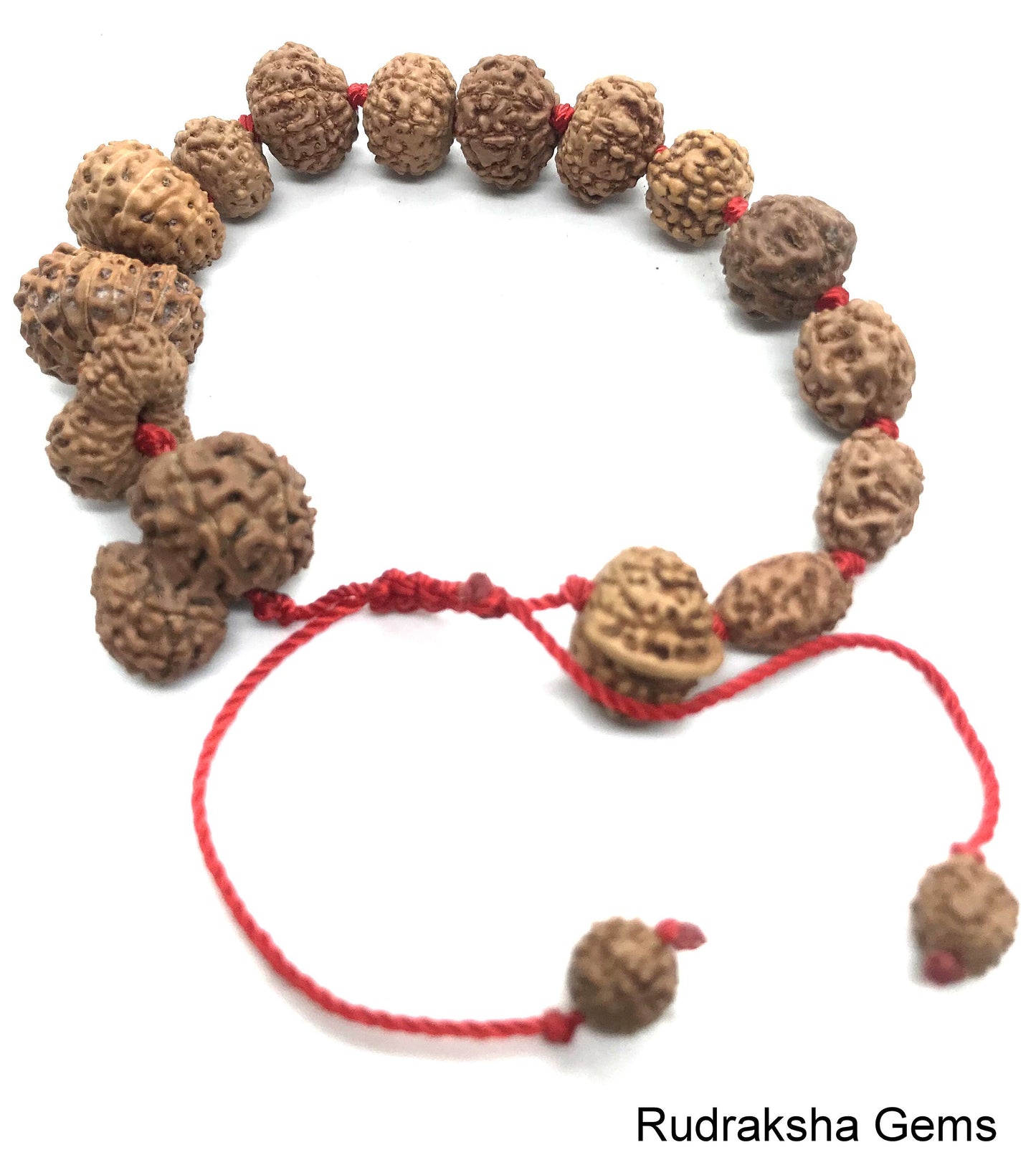2 to 14 Mukhi Rudraksha Gauri Shankar Ganesha Rudraksh BRACELET, Siddha Sidh Java Beads Certified, Rudraksh Bracelet, Genuine Beads Bracelet