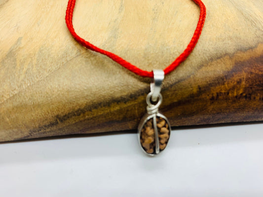 Gauri shankar Rudraksha bead in pure silver pendant From Indonesia, shiva parvati Rudraksha pendant in pure silver, rudraksha necklace