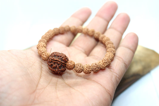 6 mukhi Rudraksha Bracelet , ALL 6 FACE Rudraksha BEADS Elastic Bracelet, Genuine Rudraksha Beads, Six Face Shiva Rudraksh, Spiritual