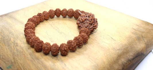 7 mukhi Rudraksha Elastic Bracelet, 7 face Rudraksha Bracelet, Genuine Rudraksha Beads, Custom size available, Seven Face Shiva Rudraksh