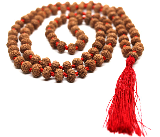 6 Mukhi Rudraksha Mala, 108+1 Genuine Six facet Rudraksha beads, Long Tassel Mala, Beautiful Mala, Natural beads Japa Mala Yoga Prayer beads