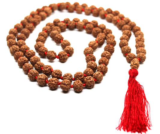 Rudraksha Mala 108 Beads 5 mukhi Japa Rosary with 2 Mukhi Rudraksh TWO MUKHI GURU bead Hand made premium Tassel mala - Yoga Meditation