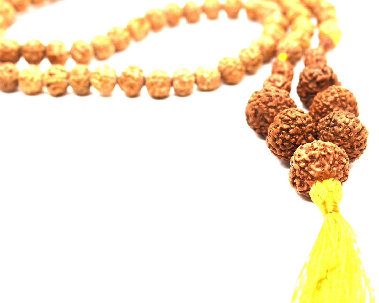Rudraksh Rudraksha 1 2 3 4 5 6 7 8 9 10 Mukhi Beads GANESHA Mala Necklace -  Rudraksha Mala Neecklace - Genuine Indonesian Rudraksha mala