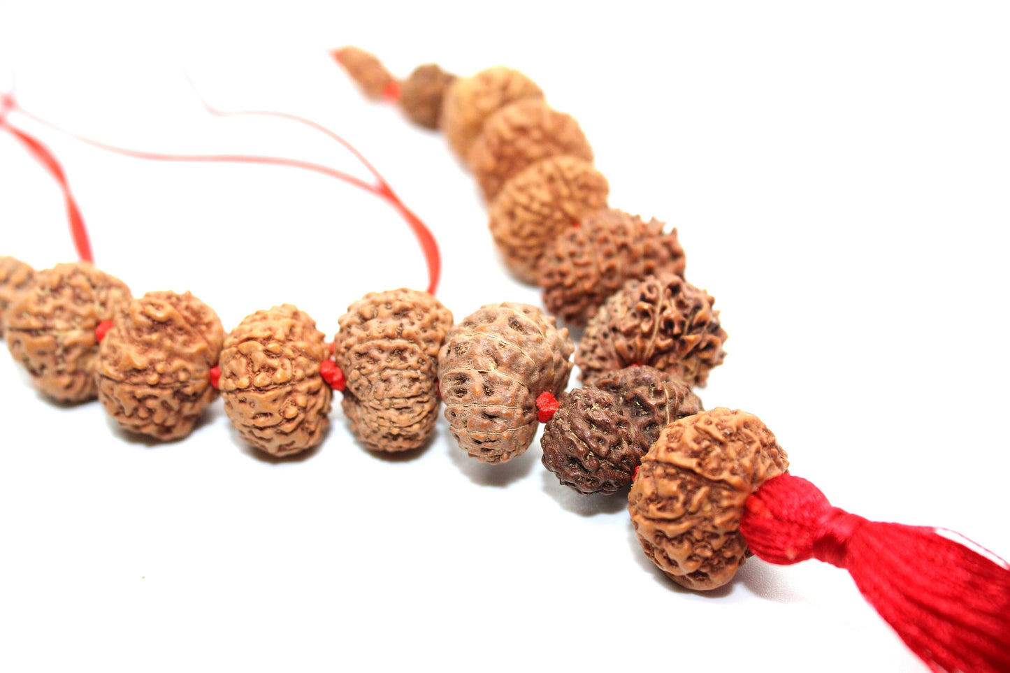 1 to 14 Mukhi Rudraksha, Indonesian Beads Sidha Mala, Siddha Sidh Java Beads, Rudraksh Mala Necklace, Genuine Beads knotted mala in red cord