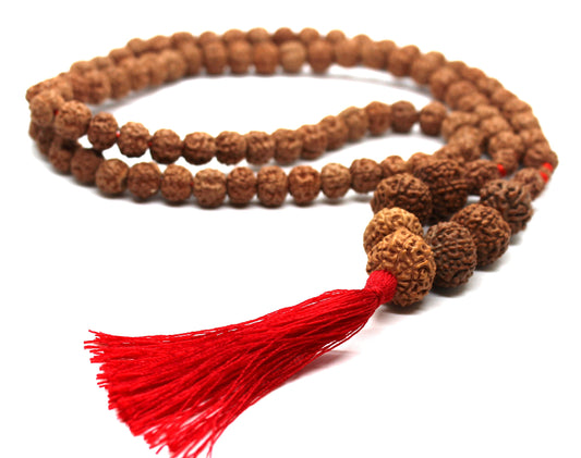 Rudraksh Rudraksha 1 2 3 4 5 6 7 8 9 10 Mukhi Beads GANESHA Mala Necklace -  Rudraksha Neecklace Mala  - Genuine Indonesian Rudraksha mala