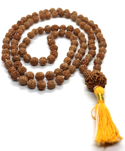 Rudraksha 7 Mukhi Guru Baad Mala, Rudraksh Japa Mala Rosary 108 +1 Bead Yoga Hindu PRAYER MEDITATION Raiki genuine 7 Mukhi Faces  Energised